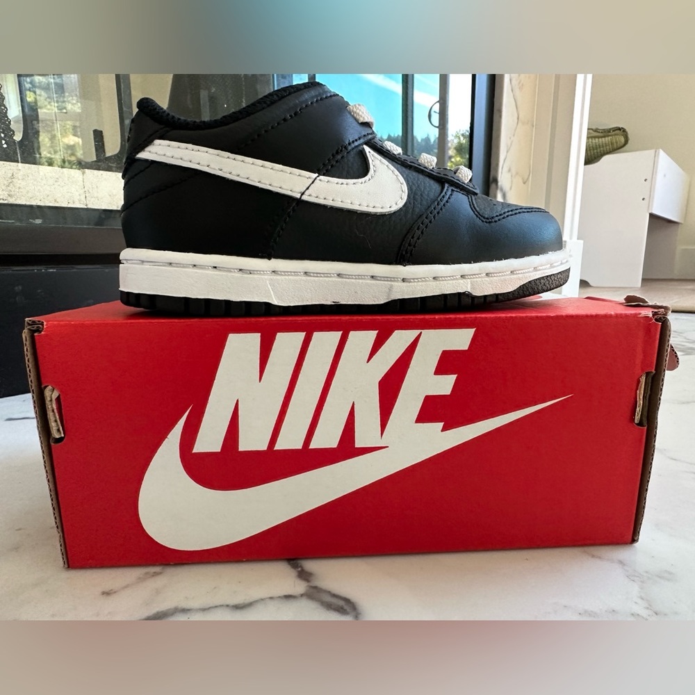 Nike Toddler Dunk Low Sneaker